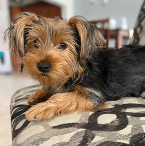 Meet your Posher, Beth